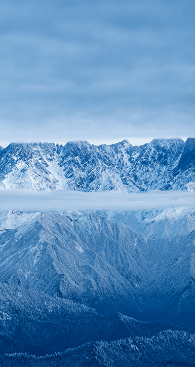 ����AG��˾