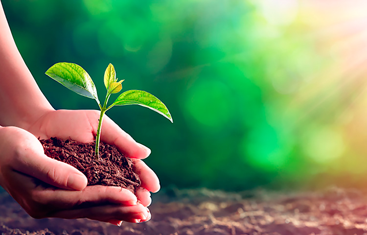 AG��˾(�й���)�����޹�˾����