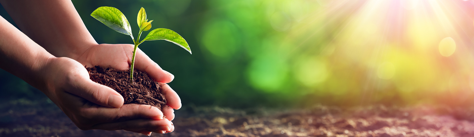 AG��˾(�й���)�����޹�˾����